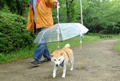 雨天出行我有神器
