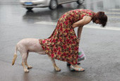 妹子让我进去避避雨吧